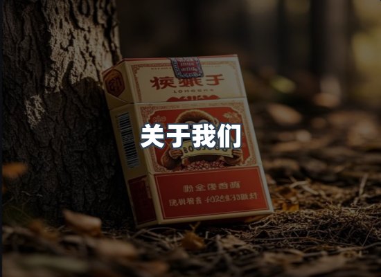 关于我们